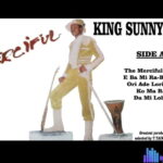 Sunny Ade songs mp3 download