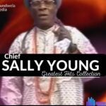 Best Of Chief Sally Young Greatest Hits