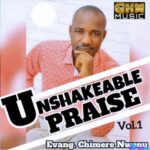 Chimere Nwenu unshakable praise