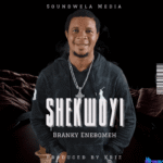 Branky Enebomeh Shekwoyi
