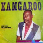 Kangaroo by Orlando Owoh